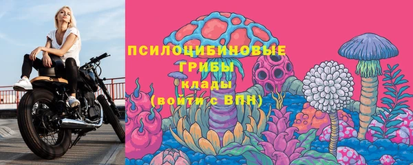 спайс Белая Холуница
