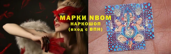 хмурый Волосово