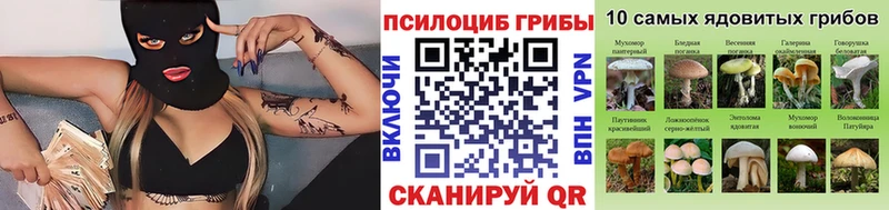 купить закладку  Каменногорск  Галлюциногенные грибы ЛСД 